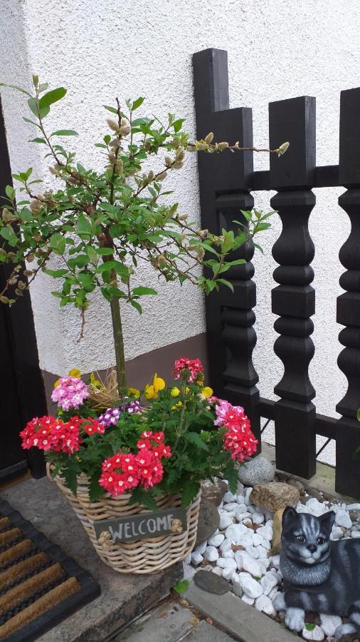 Ferienwohnung Am Steinbachtal Thale Exterior photo